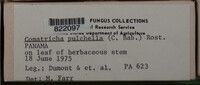 Image Associated With the Occurence
